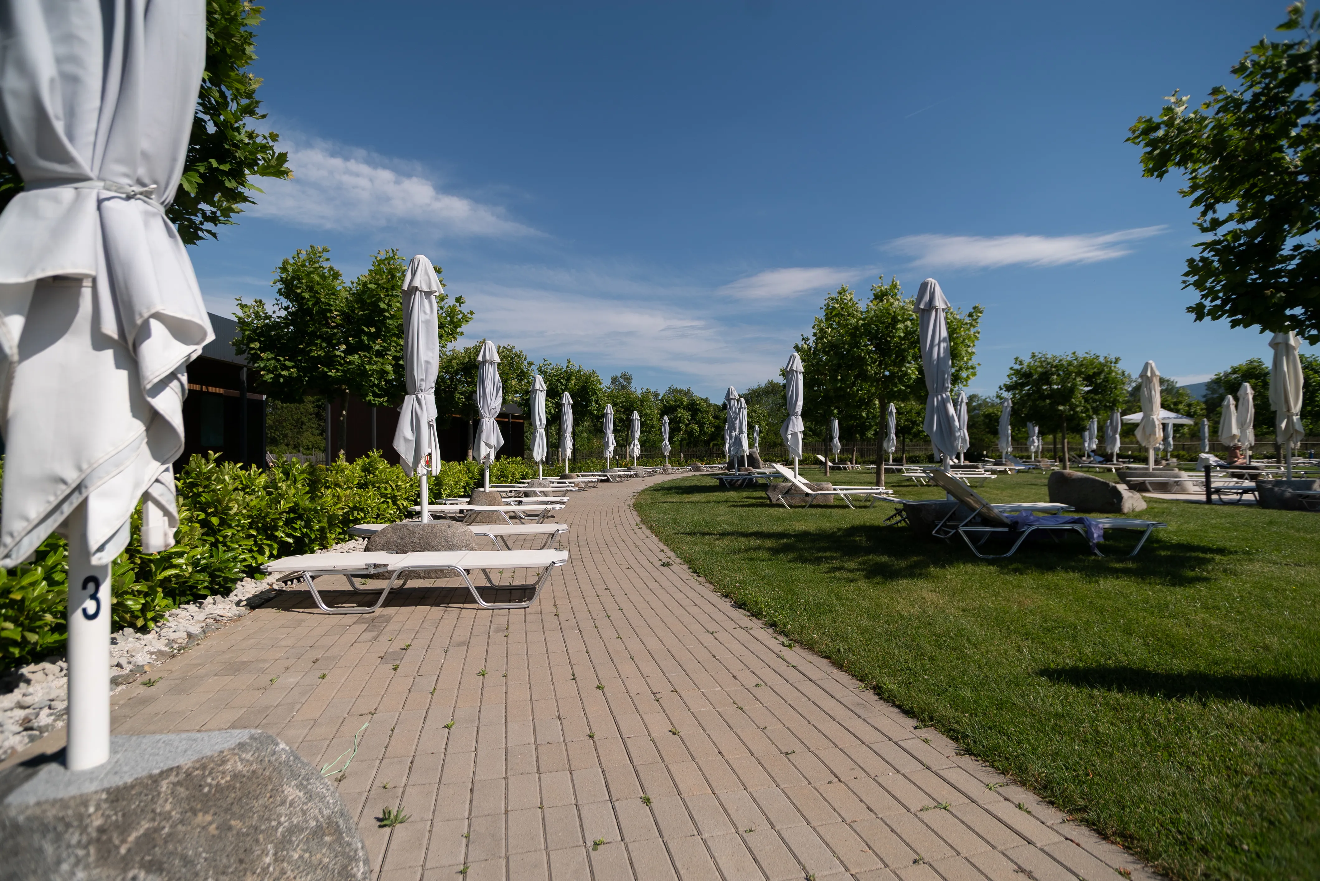 MNe-05499.webp