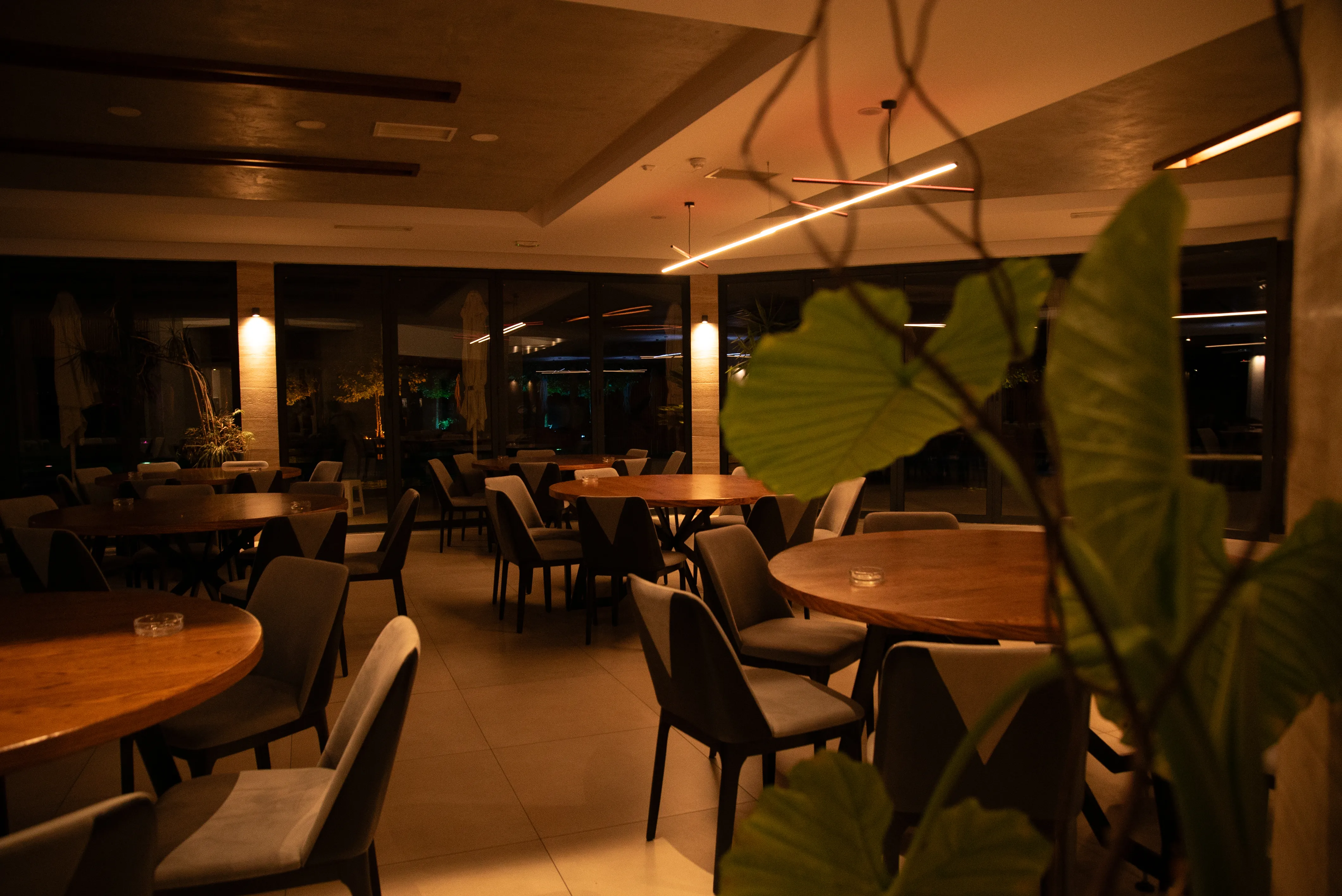MNe-05014-1.webp